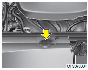 Hyundai Veloster: Checking the coolant level. Check the condition and connections of all cooling system hoses and heater hoses.
