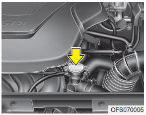 Hyundai Veloster: Checking the coolant level. WARNING Radiator cap