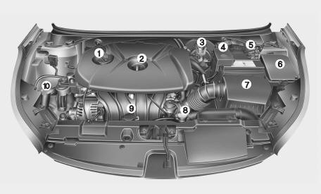 Hyundai Veloster: Engine compartment. 1. Engine oil filler cap