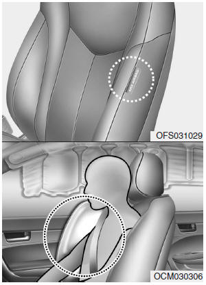 Hyundai Veloster: Side impact air bag. Your vehicle is equipped with a side impact air bag in each front seat. The purpose