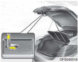 Hyundai Veloster: Emergency tailgate safety release. Your vehicle is equipped with the emergency tailgate safety release located on