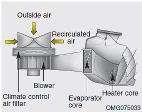 Hyundai Veloster: Climate control air filter. The climate control air filter installed behind the glove box filters the dust