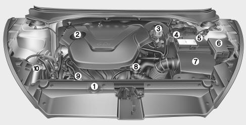 Hyundai Veloster: Engine compartment. 1. Engine coolant reservoir