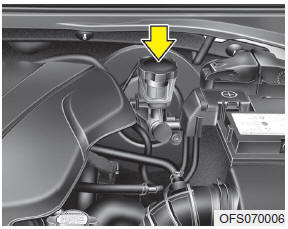 Hyundai Veloster: Brake/clutch fluid. Check the fluid level in the reservoir periodically. The fluid level should be
