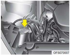 Hyundai Veloster: Washer fluid. The reservoir is translucent so that you can check the level with a quick visual