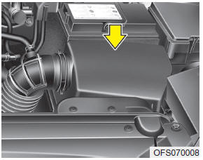 Hyundai Veloster: Air cleaner. Filter replacement